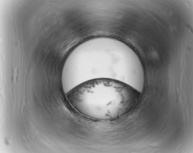 X0000100210024200805300735