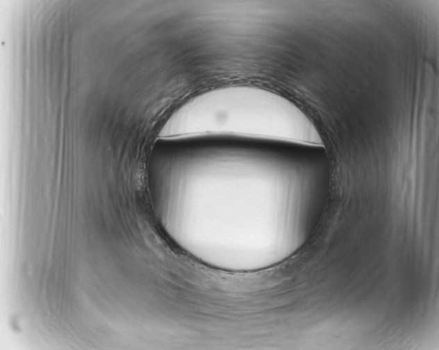 X0000100210039200805300735