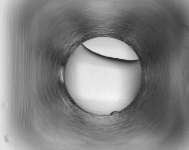 X0000100210042200805300735