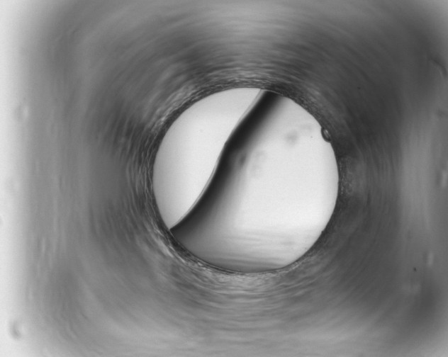 X0000100210044200805300735