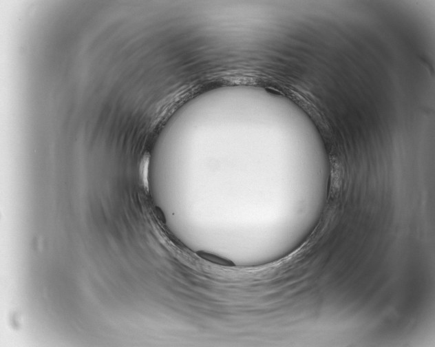 X0000100210047200805300735