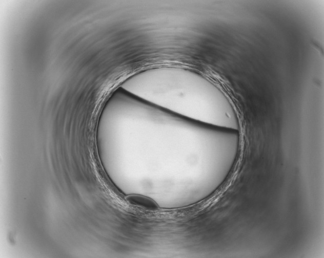 X0000100210049200805300735