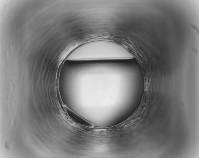 X0000100210052200805300735