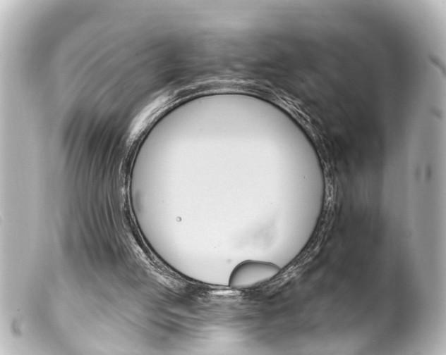 X0000100210053200805300735