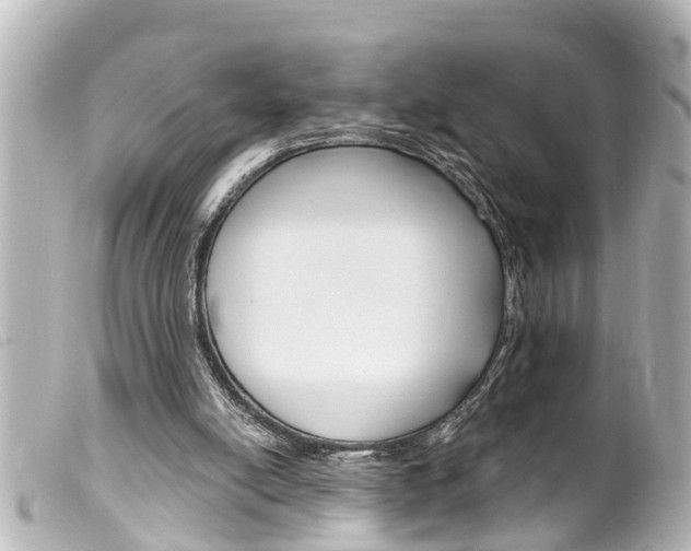 X0000100210054200805300735