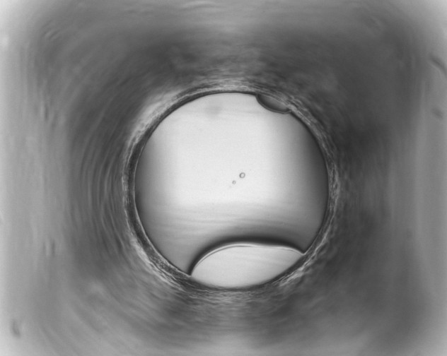 X0000100210055200805300735
