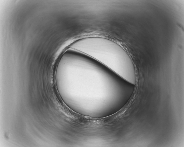 X0000100210056200805300735
