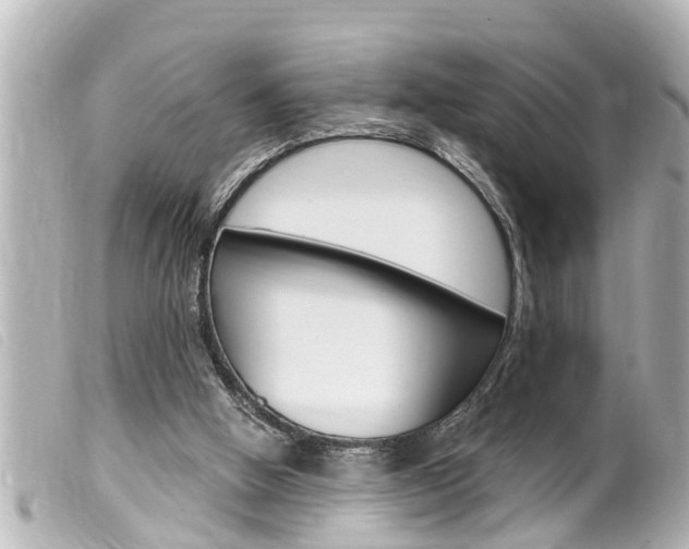 X0000100210058200805300735