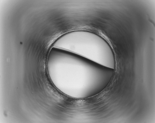 X0000100210059200805300735