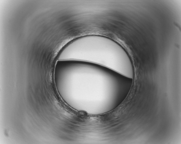 X0000100210060200805300735