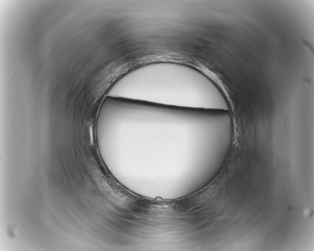 X0000100210061200805300735