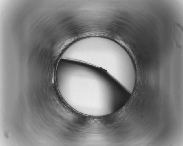 X0000100210062200805300735