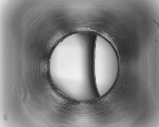 X0000100210063200805300735
