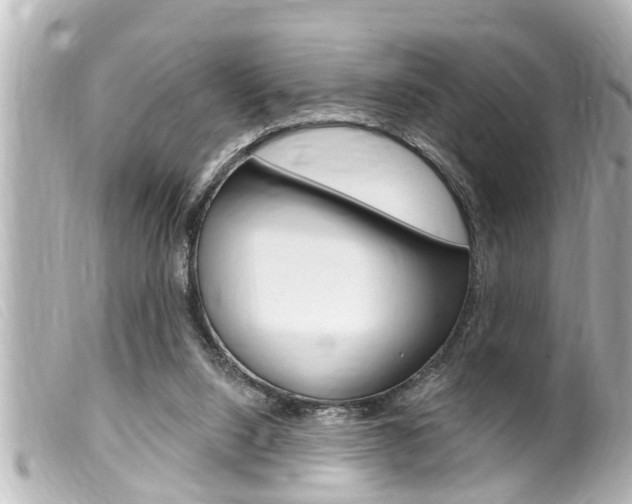 X0000100210064200805300735
