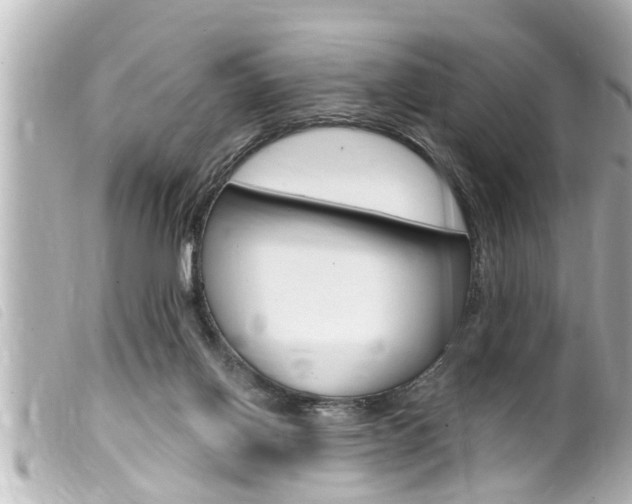 X0000100210070200805300735