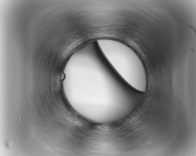 X0000100210071200805300735