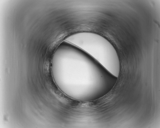 X0000100210072200805300735