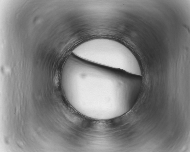 X0000100210074200805300735