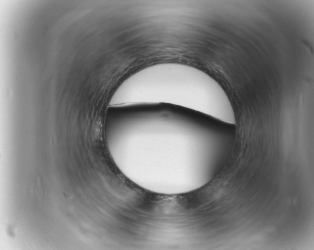X0000100210083200805300735