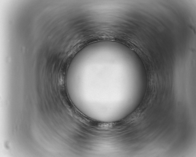 X0000100210084200805300735