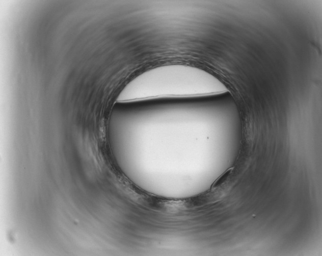 X0000100210085200805300735