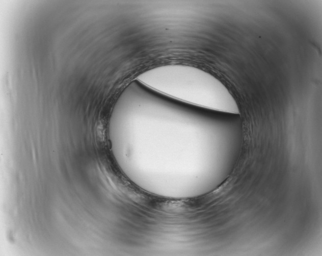X0000100210086200805300735