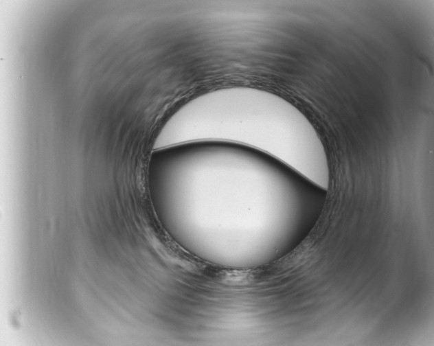 X0000100210088200805300735