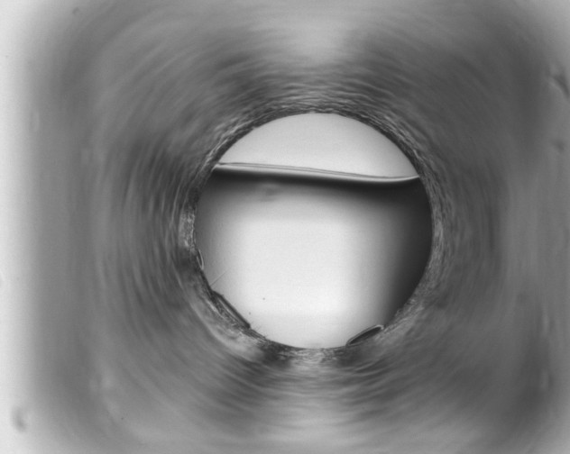 X0000100210096200805300735