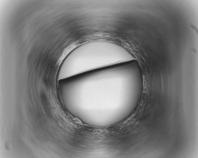 X0000100210099200805300734