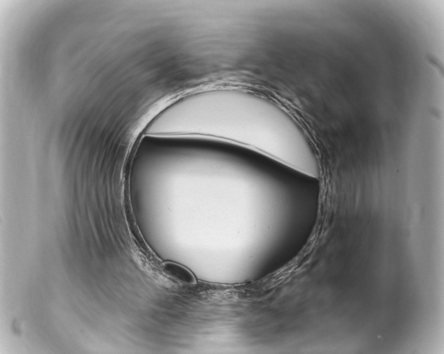 X0000100210100200805300734