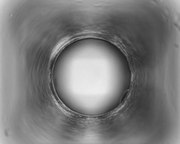 X0000100210101200805300734
