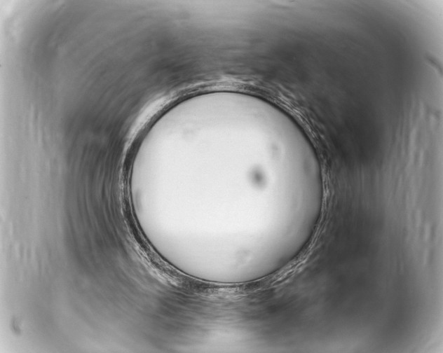 X0000100210102200805300734