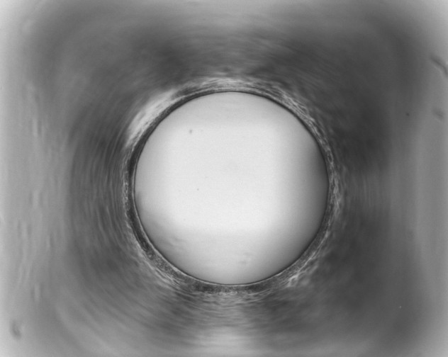 X0000100210103200805300734