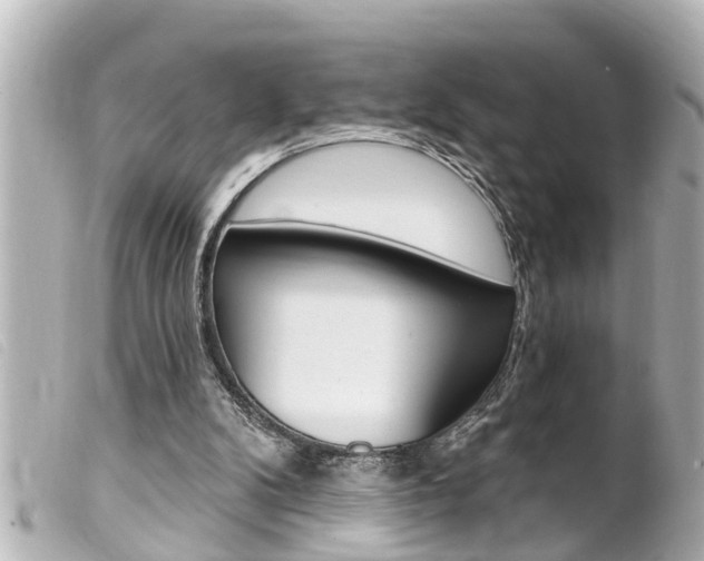 X0000100210104200805300734