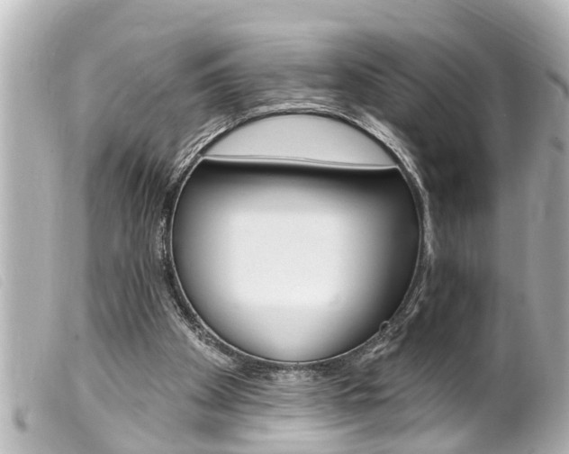 X0000100210105200805300734