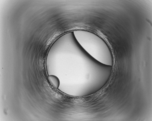 X0000100210106200805300734