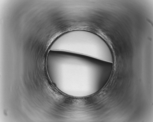 X0000100210107200805300734