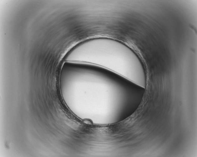 X0000100210108200805300734
