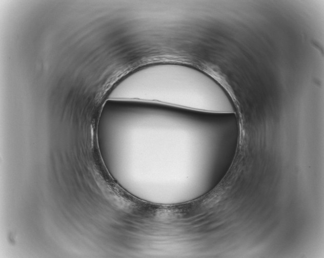 X0000100210109200805300734