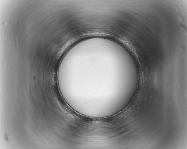 X0000100210111200805300734