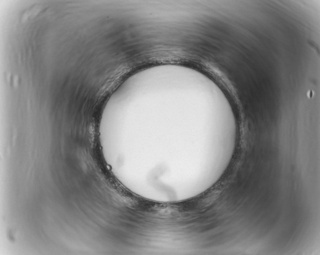 X0000100210113200805300734