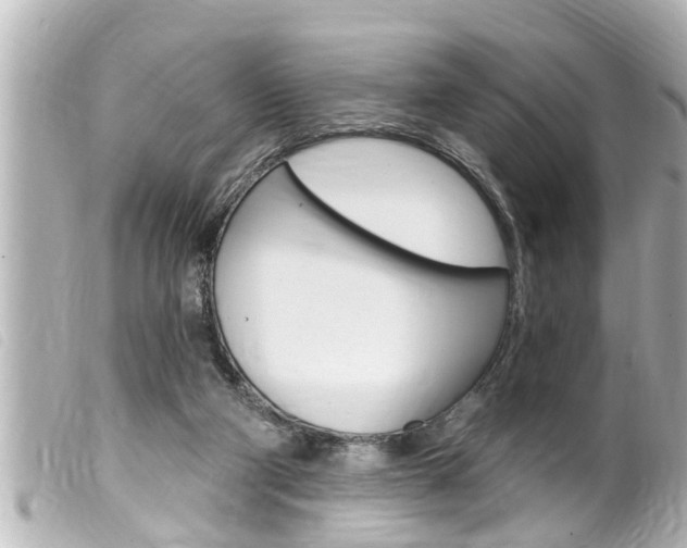X0000100210114200805300734