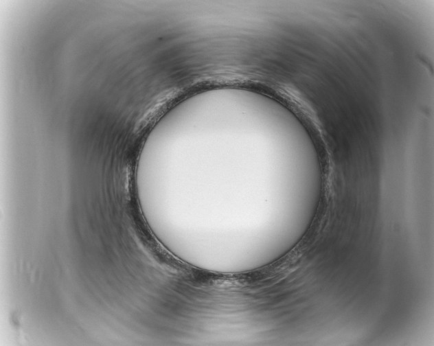X0000100210115200805300734