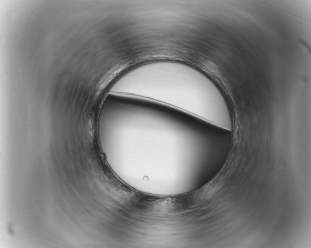 X0000100210116200805300734