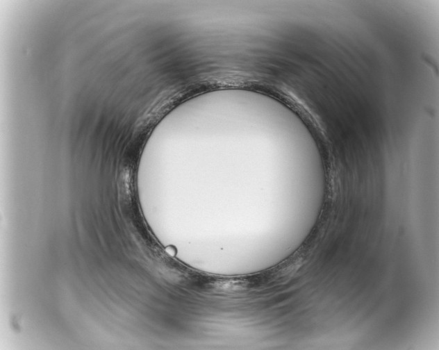 X0000100210117200805300734