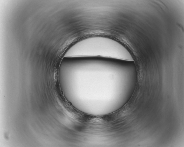 X0000100210119200805300734