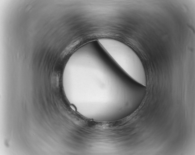 X0000100210120200805300734