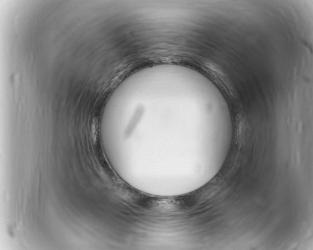 X0000100210121200805300734
