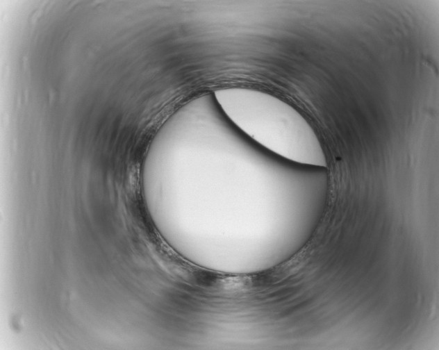 X0000100210126200805300734