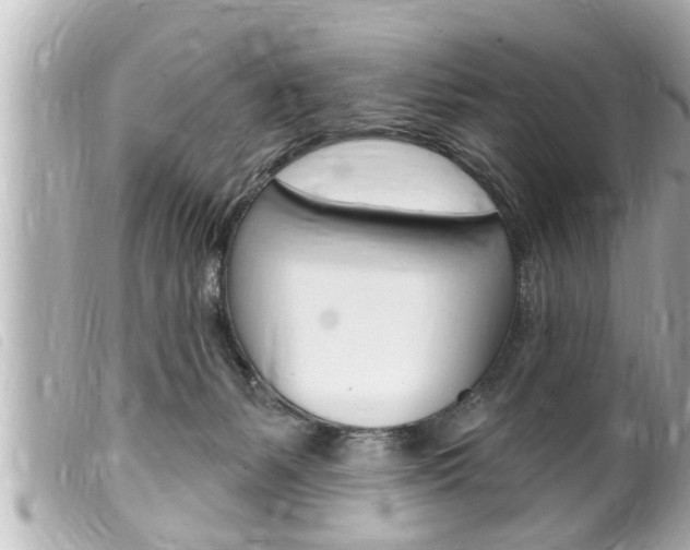 X0000100210127200805300734